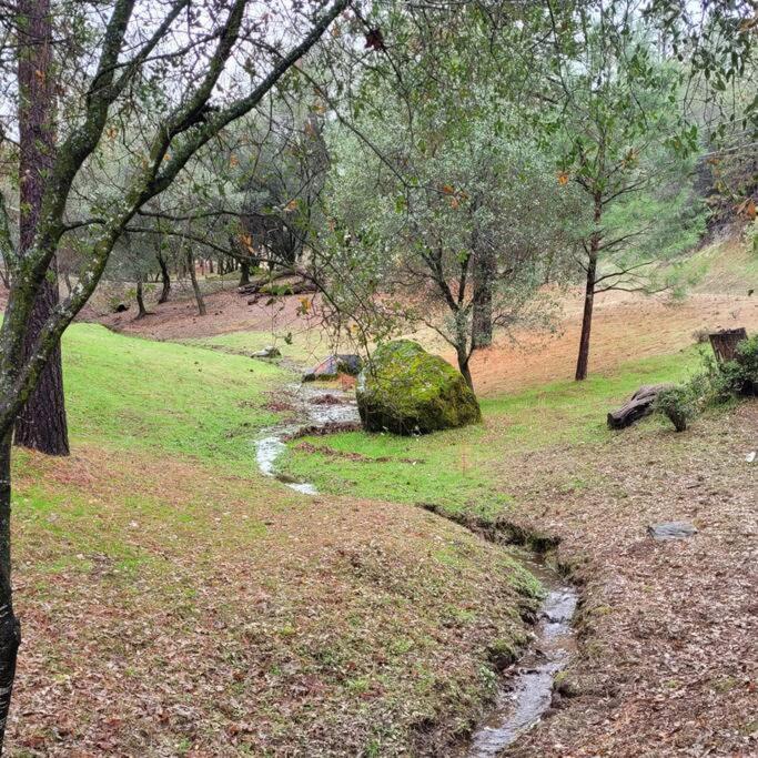 Home In Groveland Near Yosemite Np Exterior foto